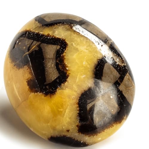 KALIFANO Septarian Palm Stone with Healing Grounding Properties AAA Grade High Energy Worry Stone with Information Card Reiki Crystal Used for Positivity and Joy Family Owned and Operated